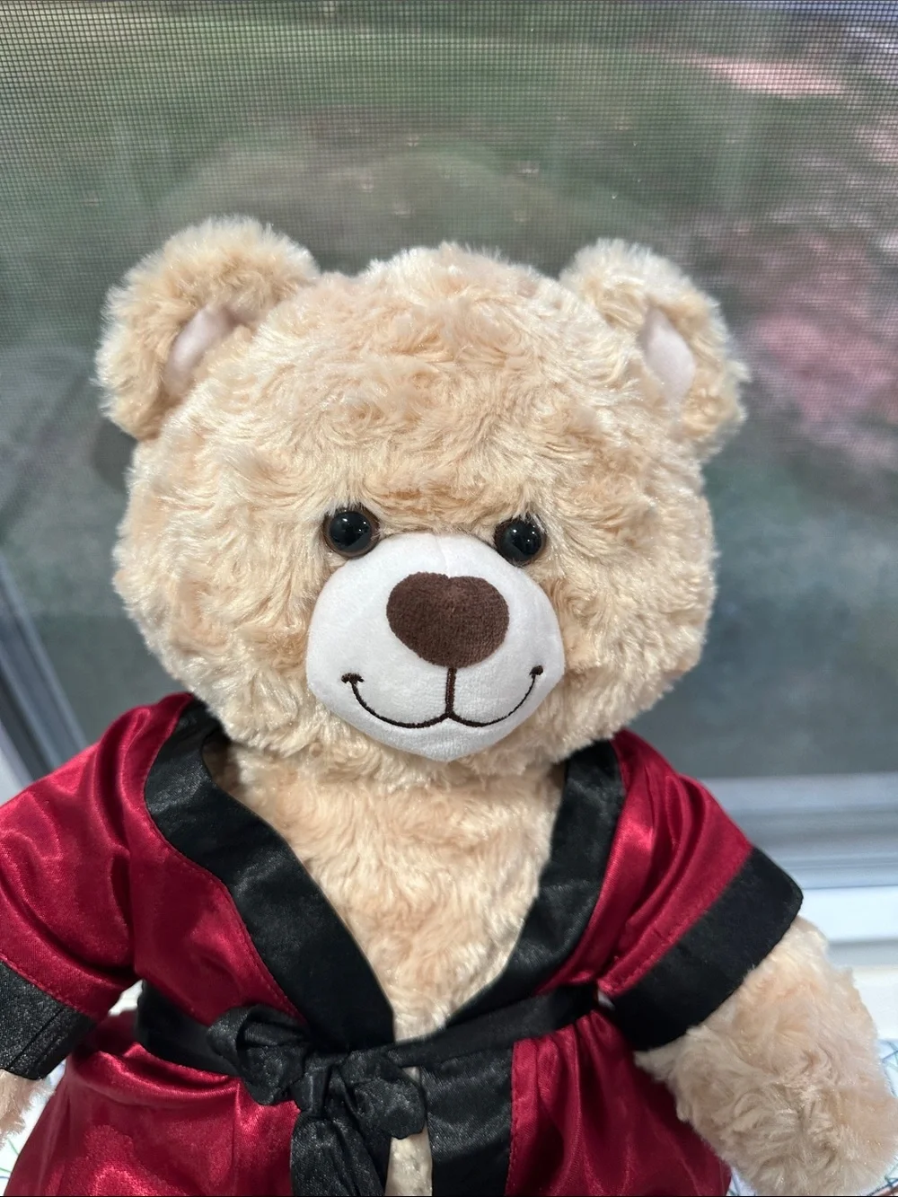 Build-A-Bear Plush Teddy in Red Robe with Black Trim